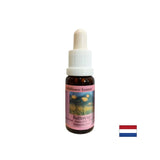 Stimulates self-esteem - Buttercup Essence No. 26, drops 15 ml - Nutra Best Europe