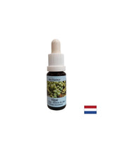 Stimulates self-healing - Algae Essence No. 1, drops 15 ml - Nutra Best Europe