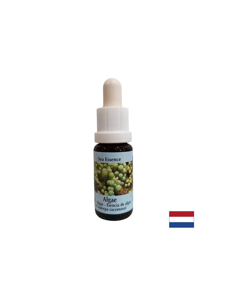 Stimulates self-healing - Algae Essence No. 1, drops 15 ml - Nutra Best Europe