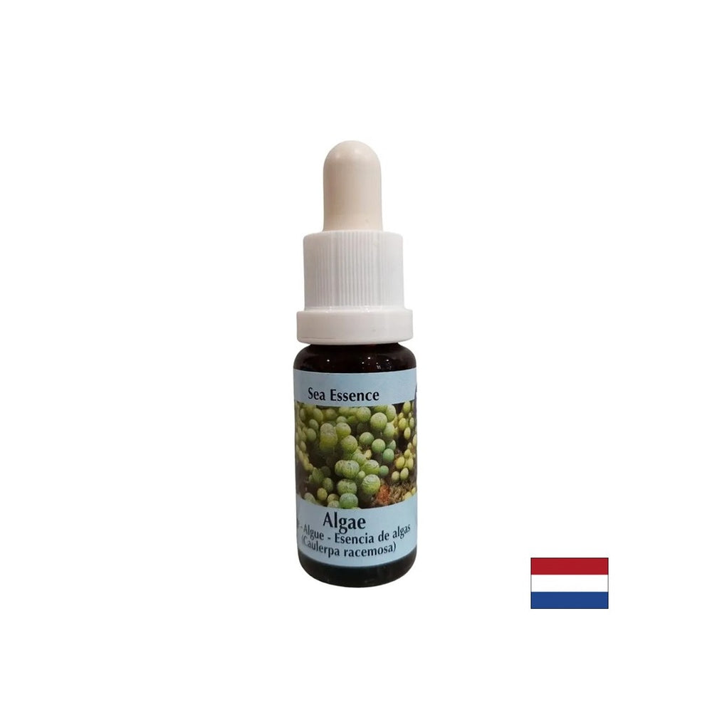 Stimulates self-healing - Algae Essence No. 1, drops 15 ml - Nutra Best Europe