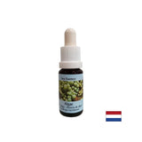 Stimulates self-healing - Algae Essence No. 1, drops 15 ml - Nutra Best Europe