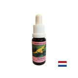 Stimulates conscious change - Essence White Mistletoe No. 12, drops 15 ml - Nutra Best Europe