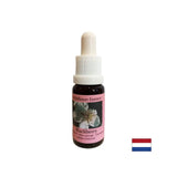 Stimulates vitality and activates creativity - Blackberry Essence No. 22, drops 15 ml - Nutra Best Europe