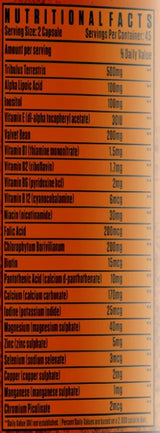 Testo Boost | with Tribulus, Vitamins & Minerals - 90 capsules - Nutra Best Europe