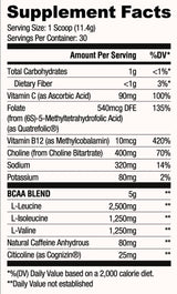 BCAA Focus | with Caffeine and Choline 333 grams - Nutra Best Europe