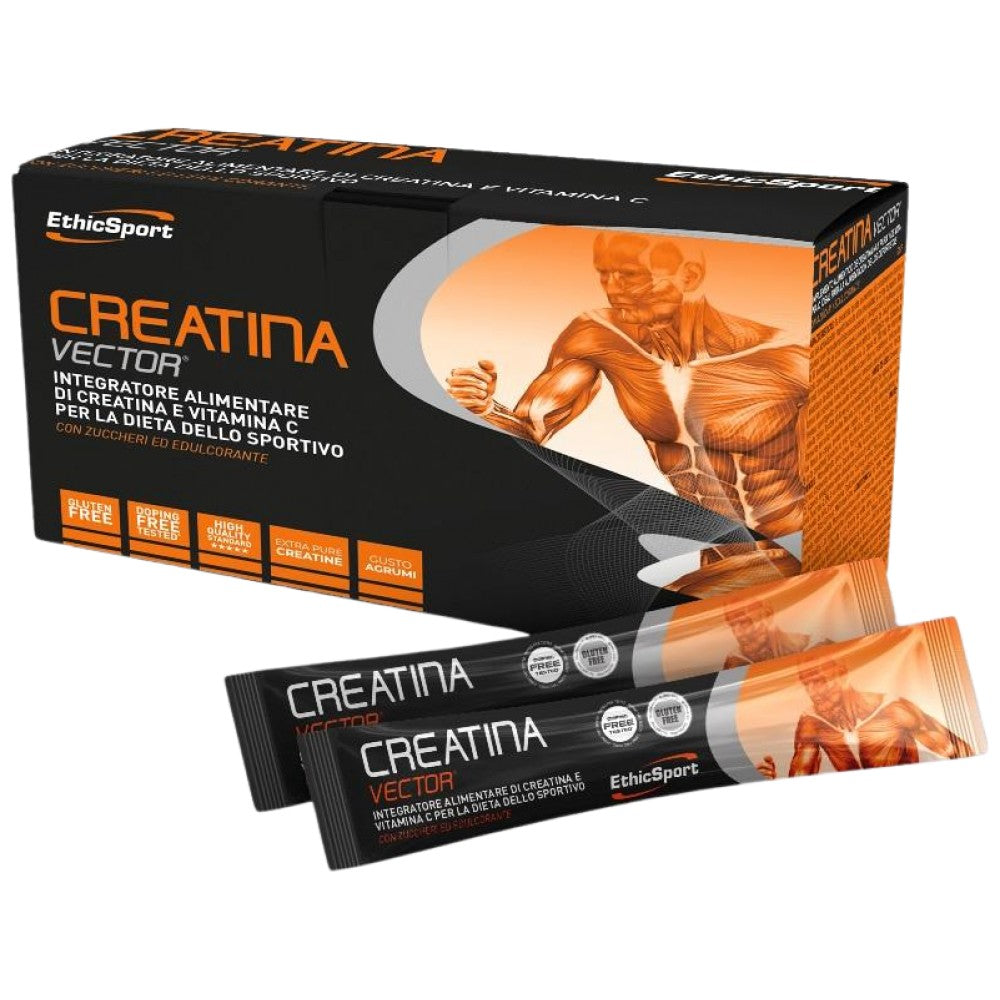 CREATINA VECTOR | Creatine & Amino Acids - 20 x 8 grams - Nutra Best Europe