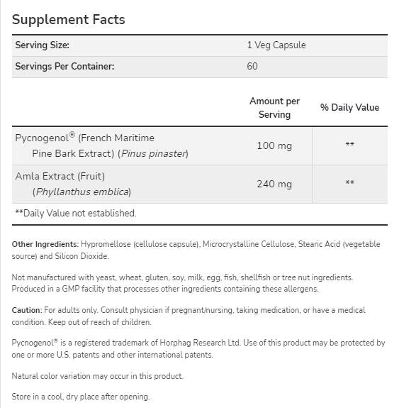 Pycnogenol 100 mg - 60 capsules - Nutra Best Europe