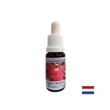 Transforms selfishness into love - Orchid Heart Essence No. 12, drops 15 ml - Nutra Best Europe