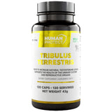 Tribulus Terrestris 204 mg | with 98% Saponins - 120 capsules - Nutra Best Europe
