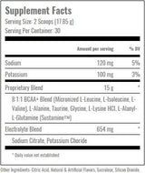 Modern BCAA Plus - 535 grams - Nutra Best Europe