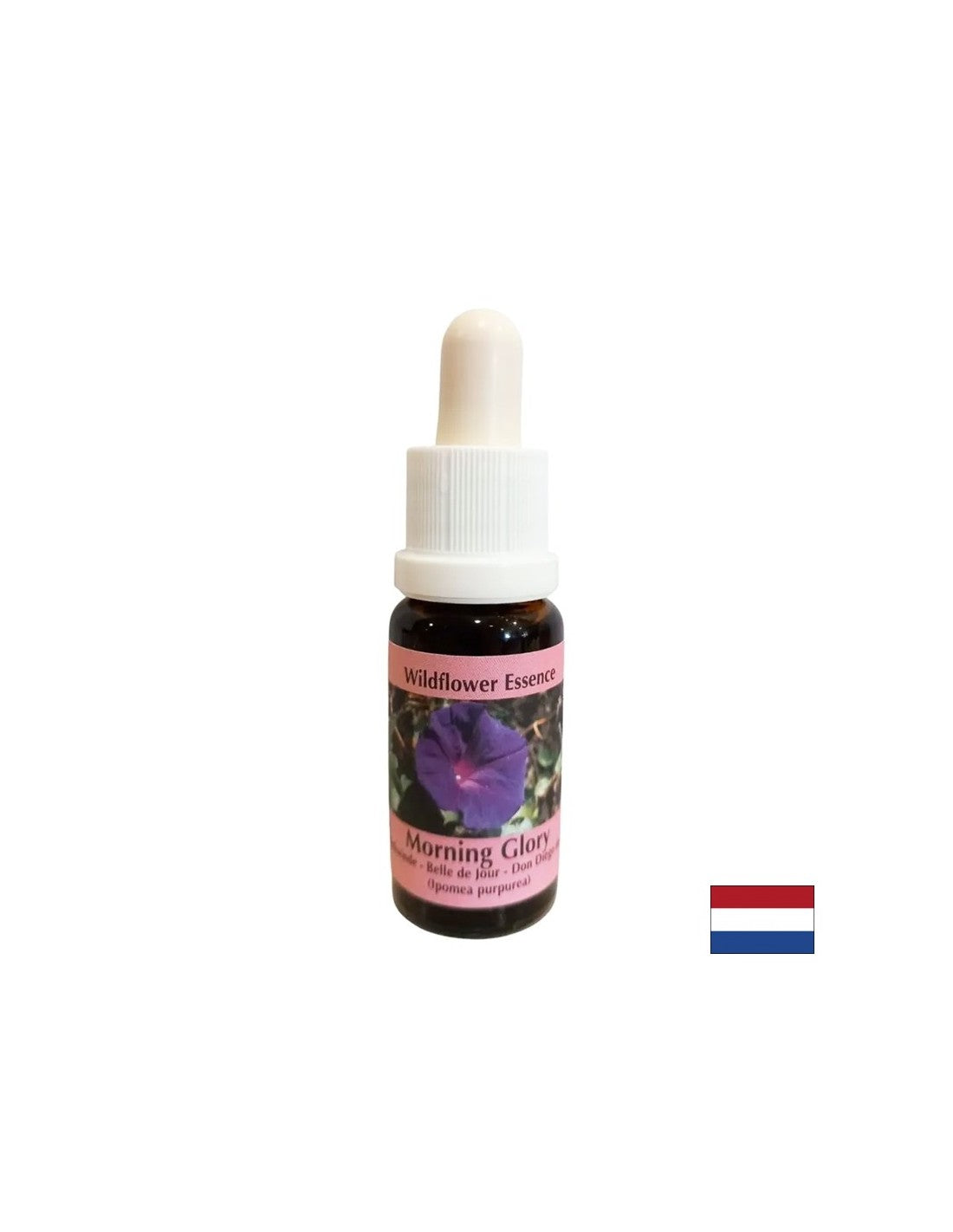 Calms anxiety and eradicates negative habits - Gramophone Essence No. 34, drops 15 ml - Nutra Best Europe