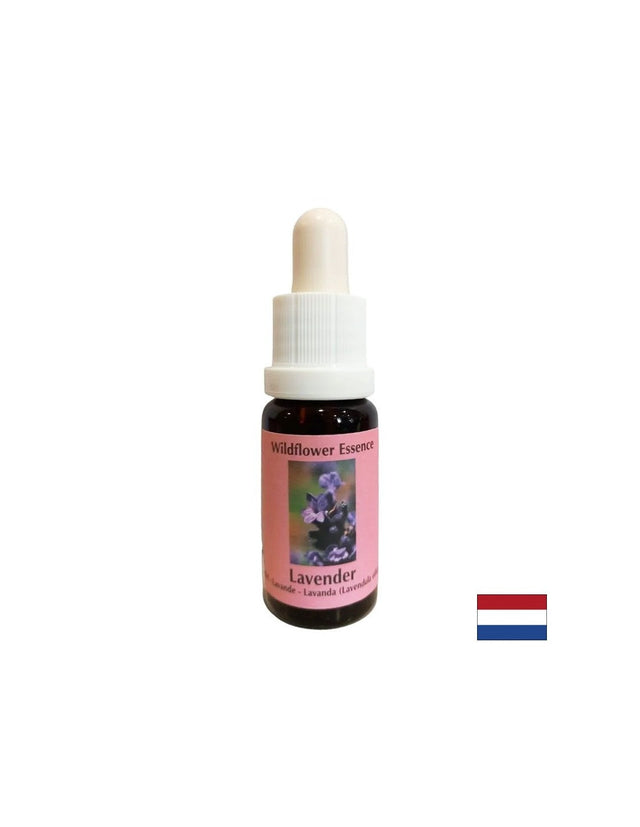 Calms and integrates the spiritual into everyday life - Lavender Essence No. 30, 15 ml drops - Nutra Best Europe