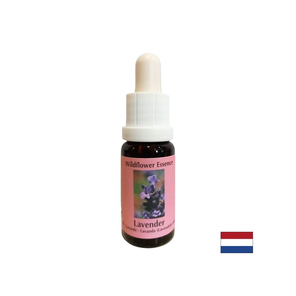 Calms and integrates the spiritual into everyday life - Lavender Essence No. 30, 15 ml drops - Nutra Best Europe