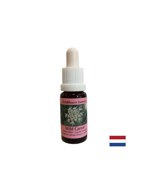Calms the mind - Wild Carrot Essence, drops 15 ml - Nutra Best Europe