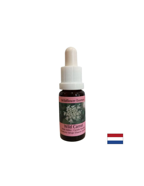 Calms the mind - Wild Carrot Essence, drops 15 ml - Nutra Best Europe