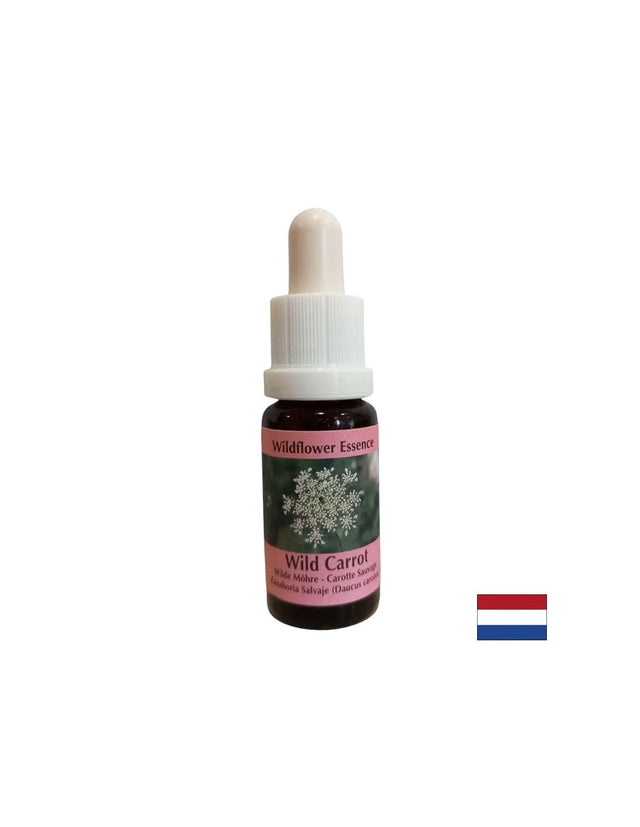 Calms the mind - Wild Carrot Essence, drops 15 ml - Nutra Best Europe