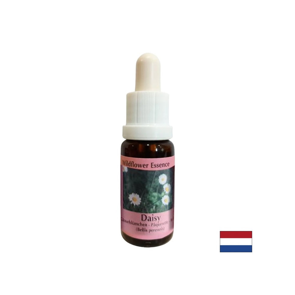 Increases memory and learning capacity - Common Daisy Essence No. 26, drops 15 ml - Nutra Best Europe