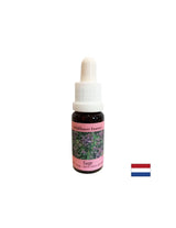 Restores rhythm and supports adaptation - Sage Essence No. 36, drops 15 ml - Nutra Best Europe