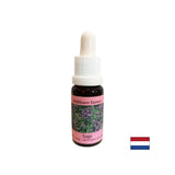Restores rhythm and supports adaptation - Sage Essence No. 36, drops 15 ml - Nutra Best Europe