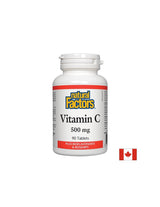 Vitamin C 500 mg + Rose Hips - 90 Tablets - Nutra Best Europe