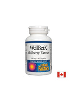 WellBetX Mulberry Extract 100 mg - 90 capsules - Nutra Best Europe