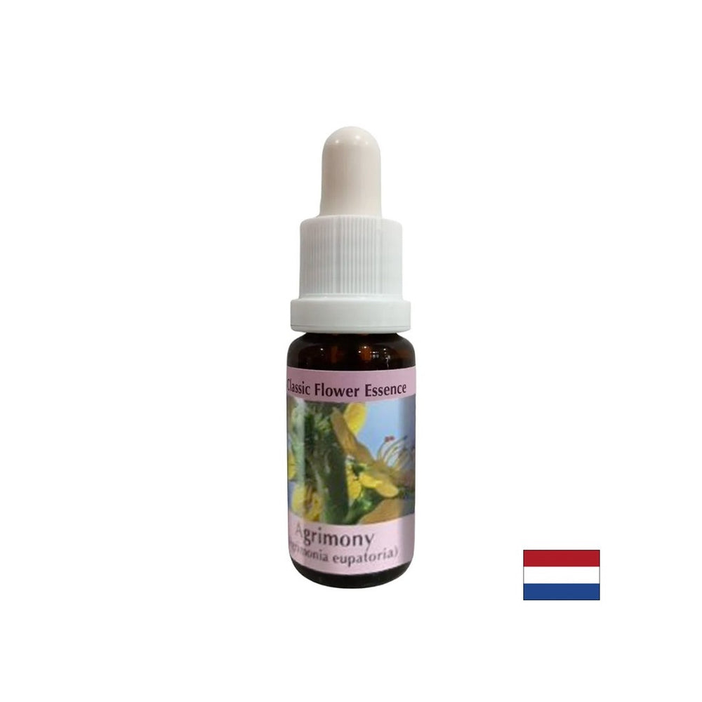 For balancing emotional states - Essence Healing Whip No. 1, drops 15 ml - Nutra Best Europe