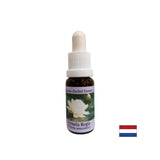 For spiritual awareness - Victoria Regia Essence No. 20, 15 ml drops - Nutra Best Europe
