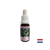 To control selfishness - Grape Essence No. 32, drops 15 ml - Nutra Best Europe