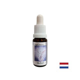 For finding the right words - Essence Mechiel (Angel Essence No. 16), drops 15 ml - Nutra Best Europe