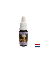 For recognizing vital tasks - Orchid Essence Psyche No. 17, drops 15 ml - Nutra Best Europe