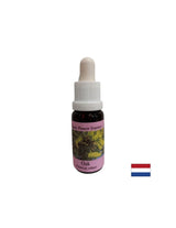 Energizes - Oak Essence No. 22, drops 15 ml - Nutra Best Europe