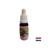 Energizes - Oak Essence No. 22, drops 15 ml - Nutra Best Europe