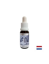 Charges with strength - Essence Hahasia (Angel Essence No. 11), drops 15 ml - Nutra Best Europe